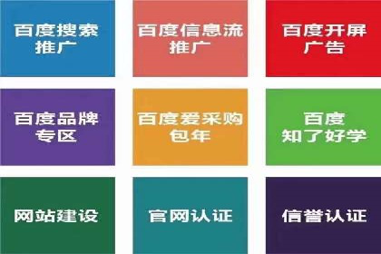 某品牌SEM广告的蜕变——代运营公司的力量